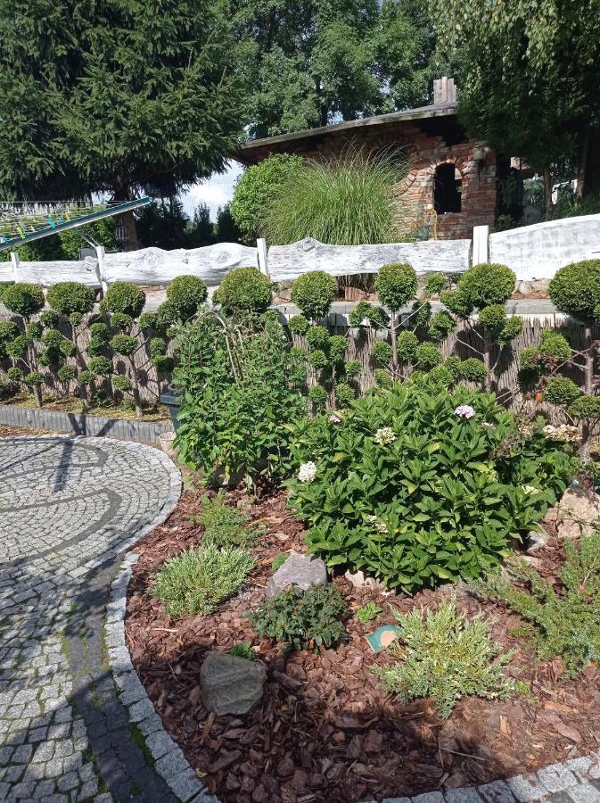 Pokoje Goscinne Cisowa Zielona Góra Dış mekan fotoğraf